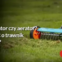 Nie rekuperator, a aerator: Co naprawdę odżywi Twój trawnik?