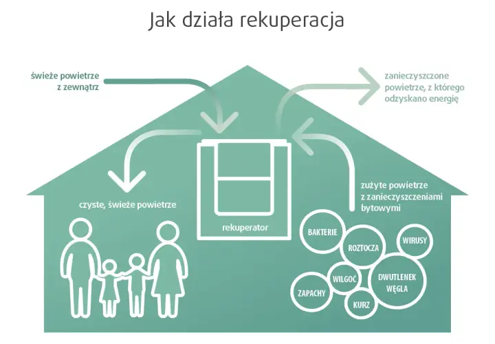 Rekuperacja w Gryfinie: Korzyści, Koszty i Firmy Montażowe